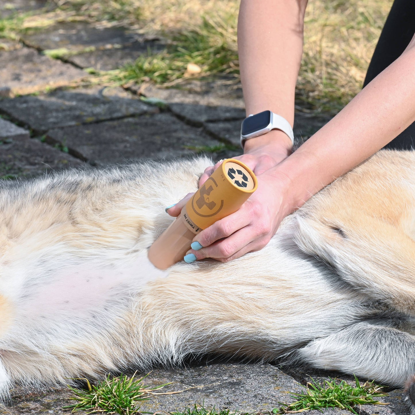 Dog Healing Skin Balm - 2oz