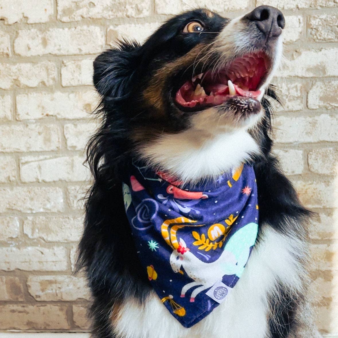 Astro Dog Bandana | Zodiac Astrology Star Pet Accessory: Blue / XL