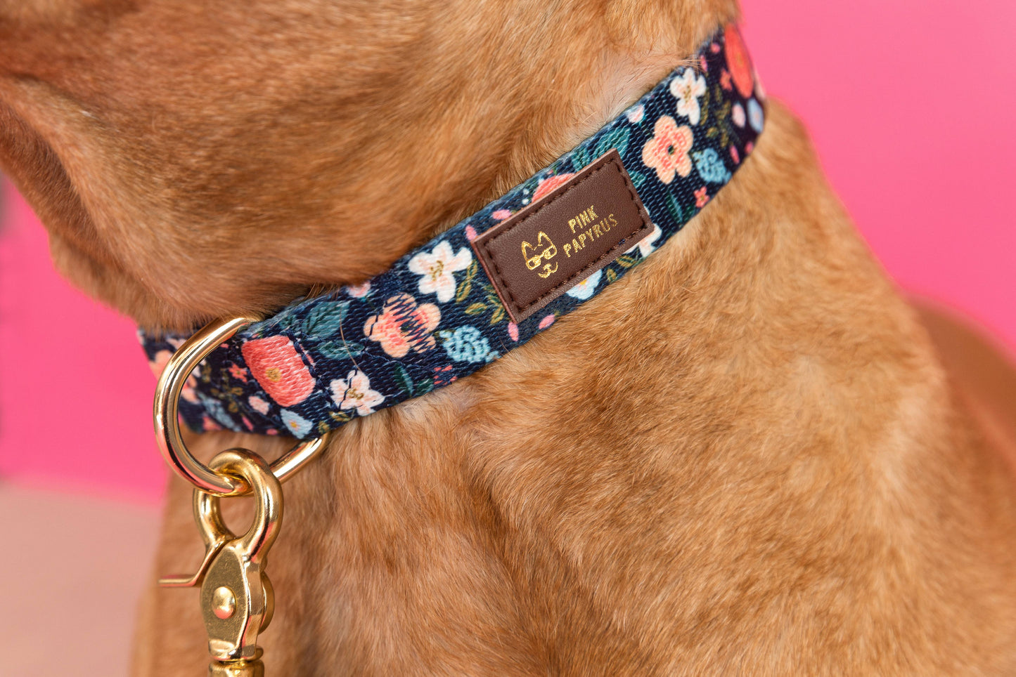 Riley Dark Floral Dog Collar