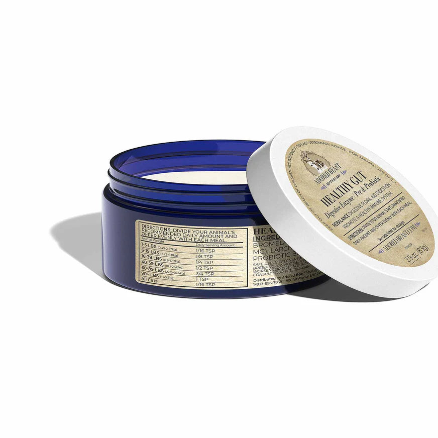 Healthy Gut - Digestive Enzymes & Probiotics