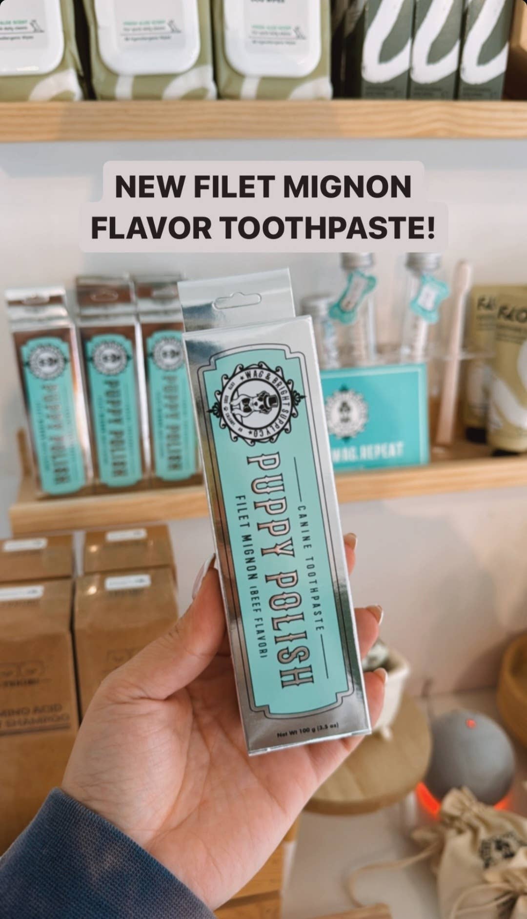 Puppy Polish Toothpaste - Beef Filet Mignon