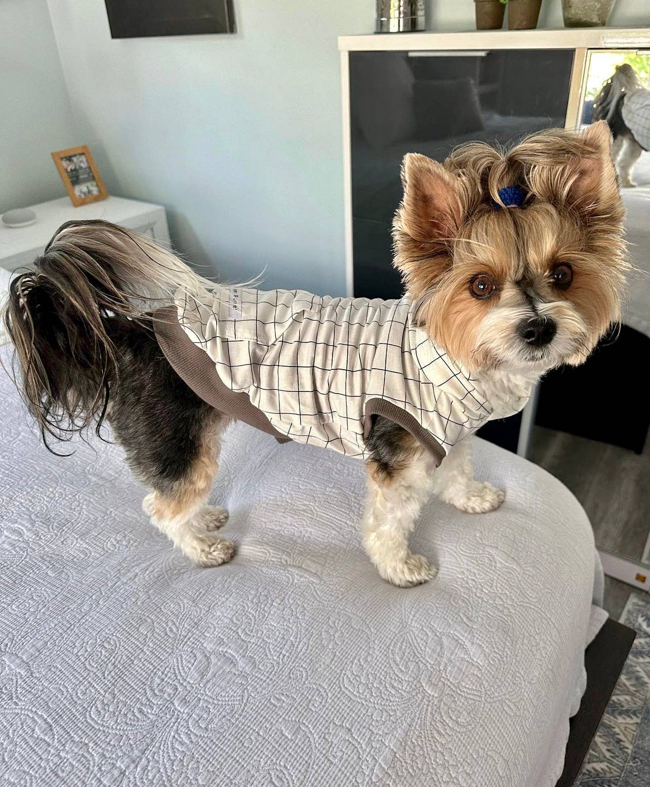 Grid Dog Hoodie