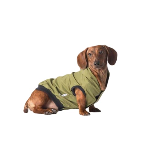Dog Rain Jacket Windbreaker & Jogger - Hunter Green