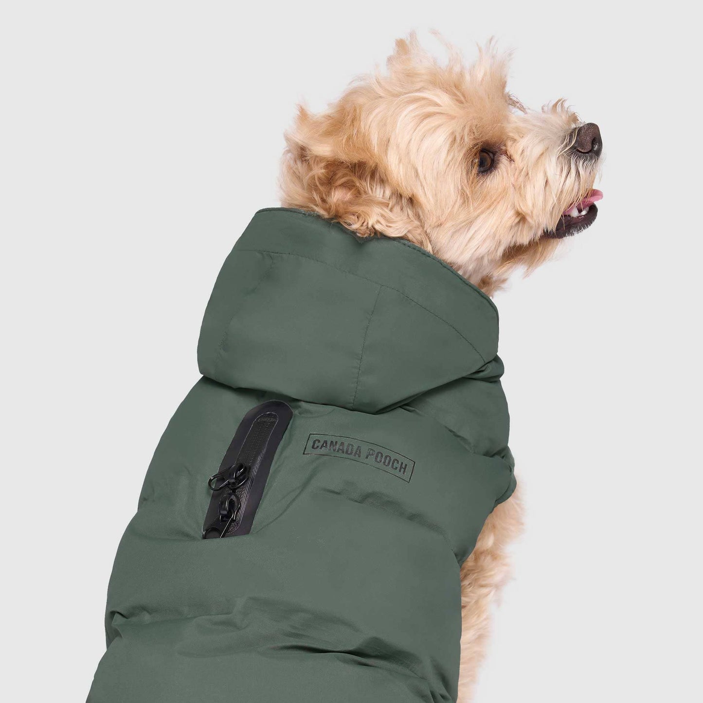 Waterproof Dog Puffer: Black / 18
