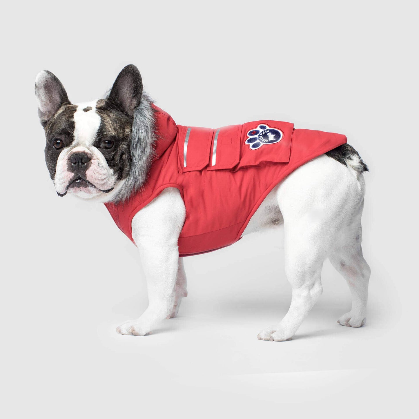 Everest Explorer Jacket- Dog Coat: Red Reflective / 22