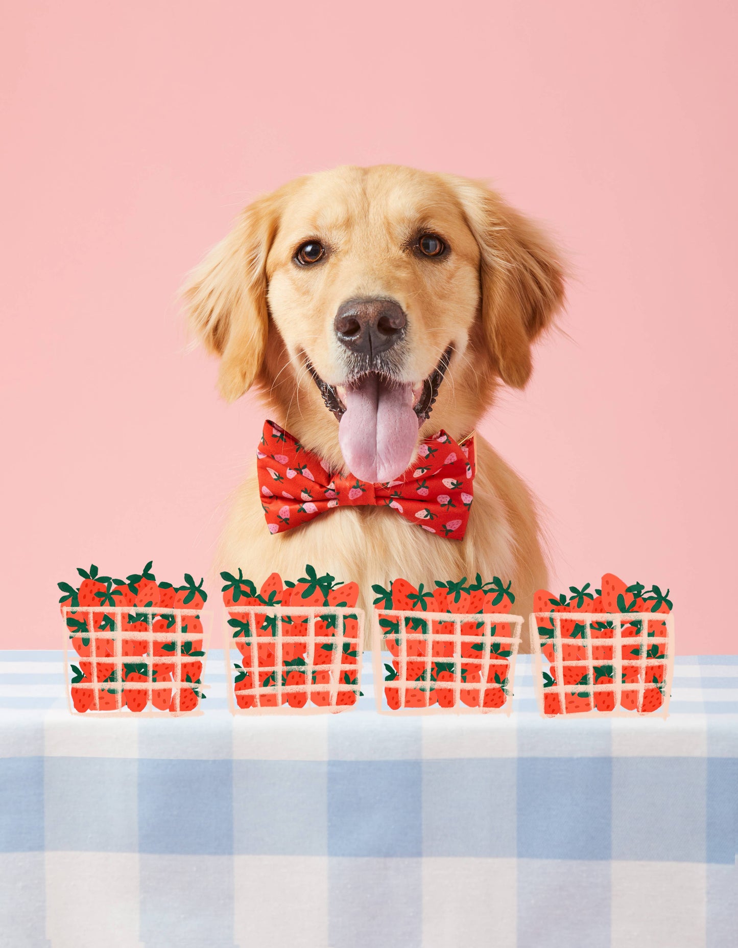 Berry Sweet Bow Tie