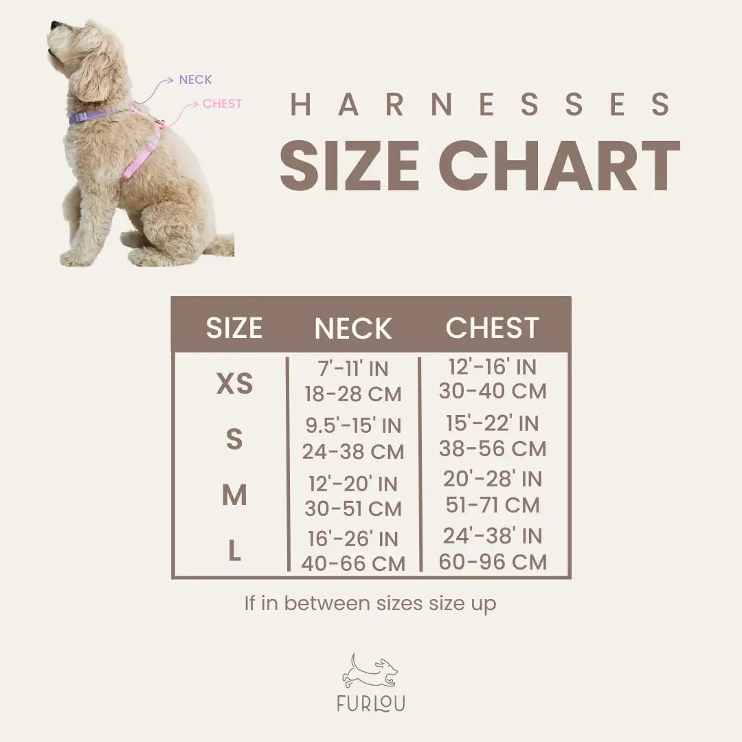 Lavender & Lime Dog Strap Harness