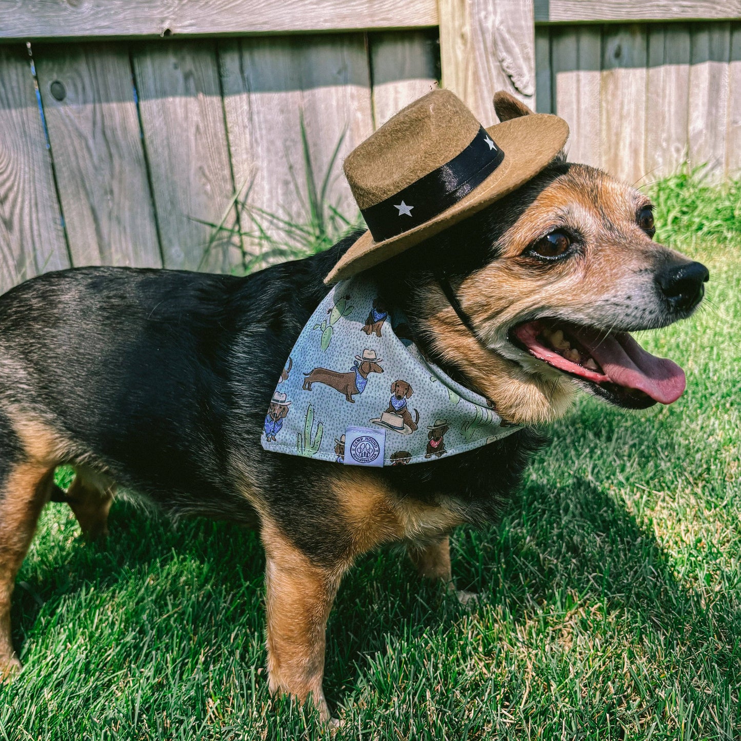 Bandit Dog Bandana | Cowboy Western Boho Pet Accessory: Gray / S