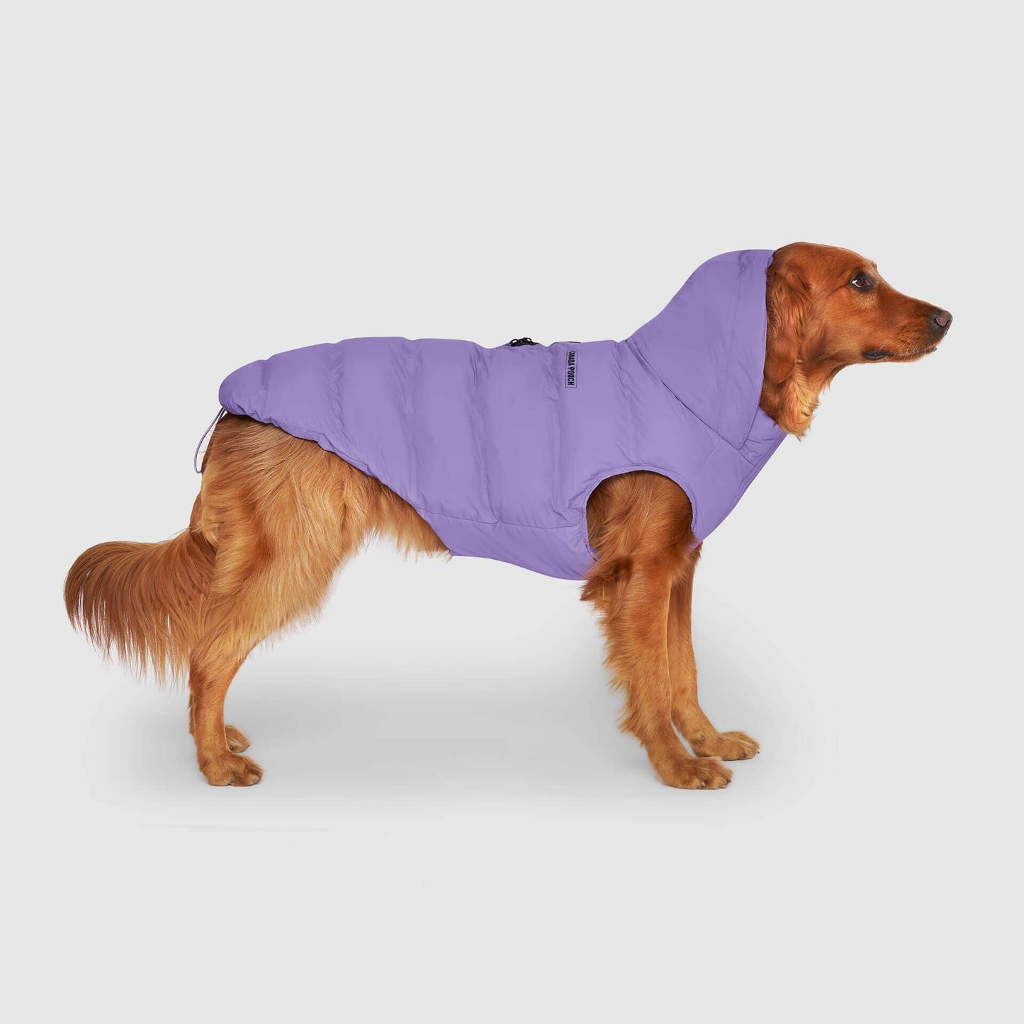 Waterproof Dog Puffer: Black / 18