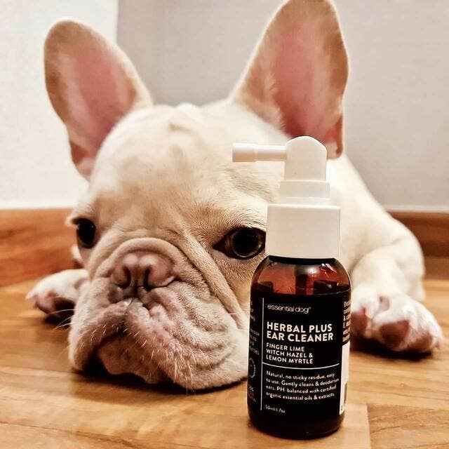 Herbal Dog Ear Cleaner