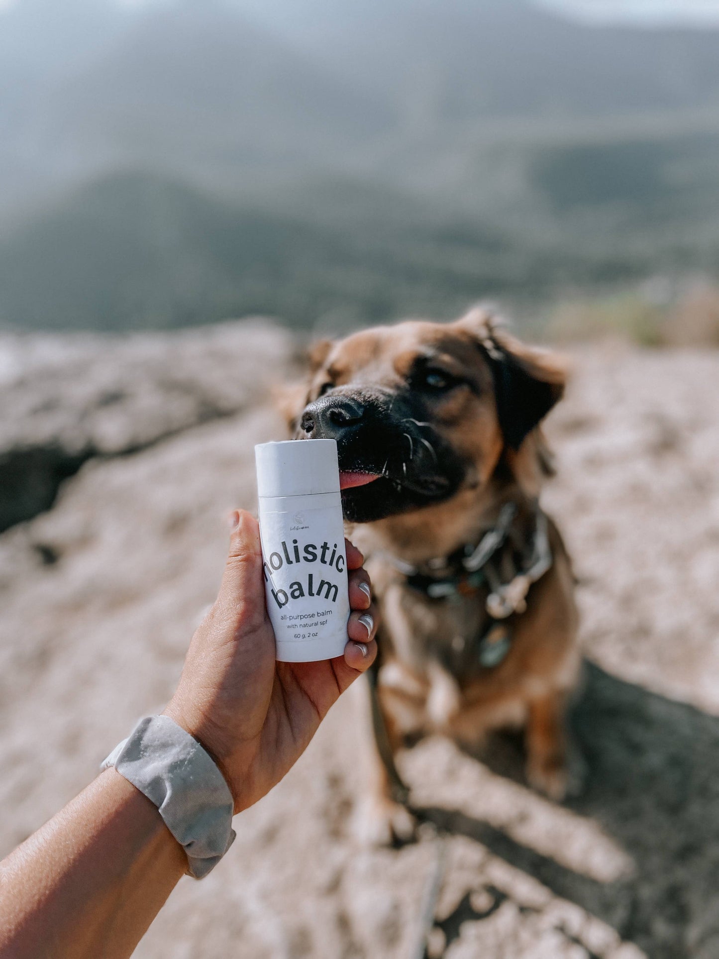 Organic & All-Purpose Balm for Paws + Skin