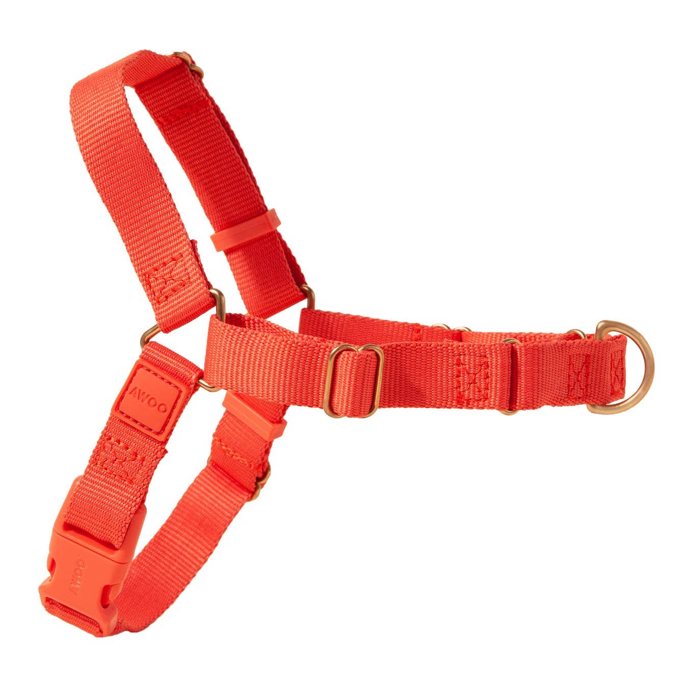 Roam Harness: PINE / Large