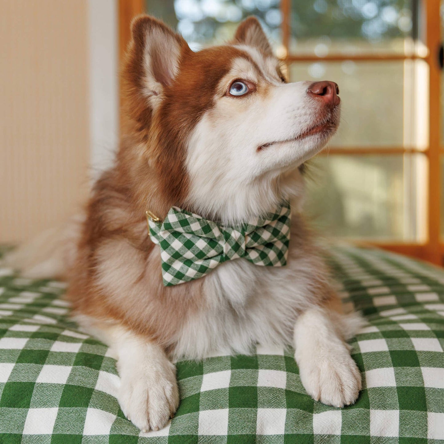 Plaid Hunter Green Bow Tie
