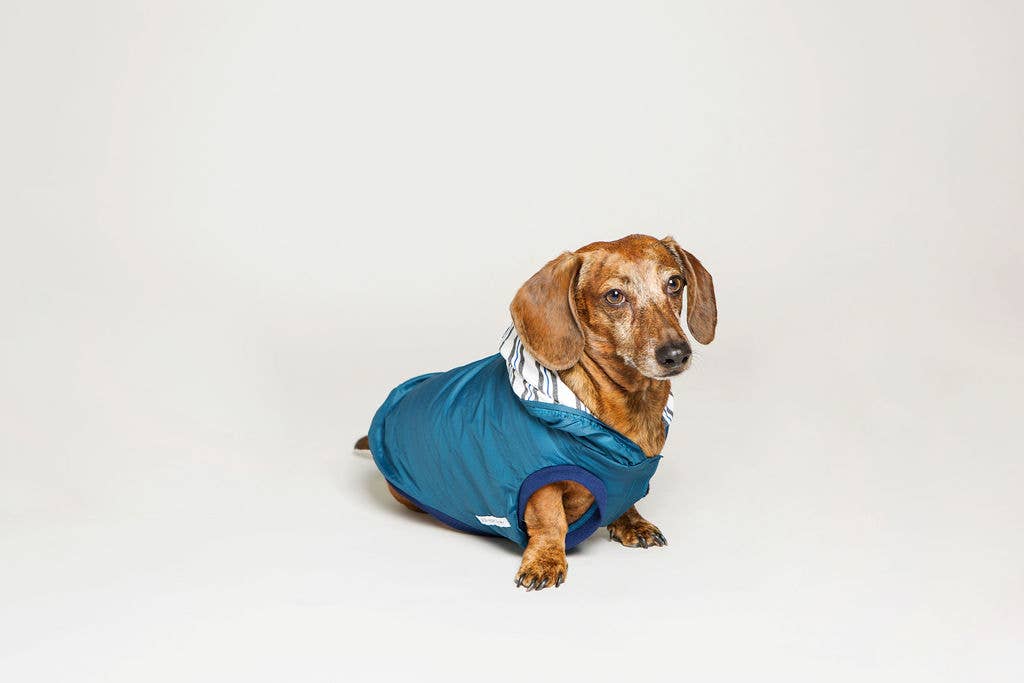 Dog Rain Jacket Jogger & Windbreaker - Teal Blue
