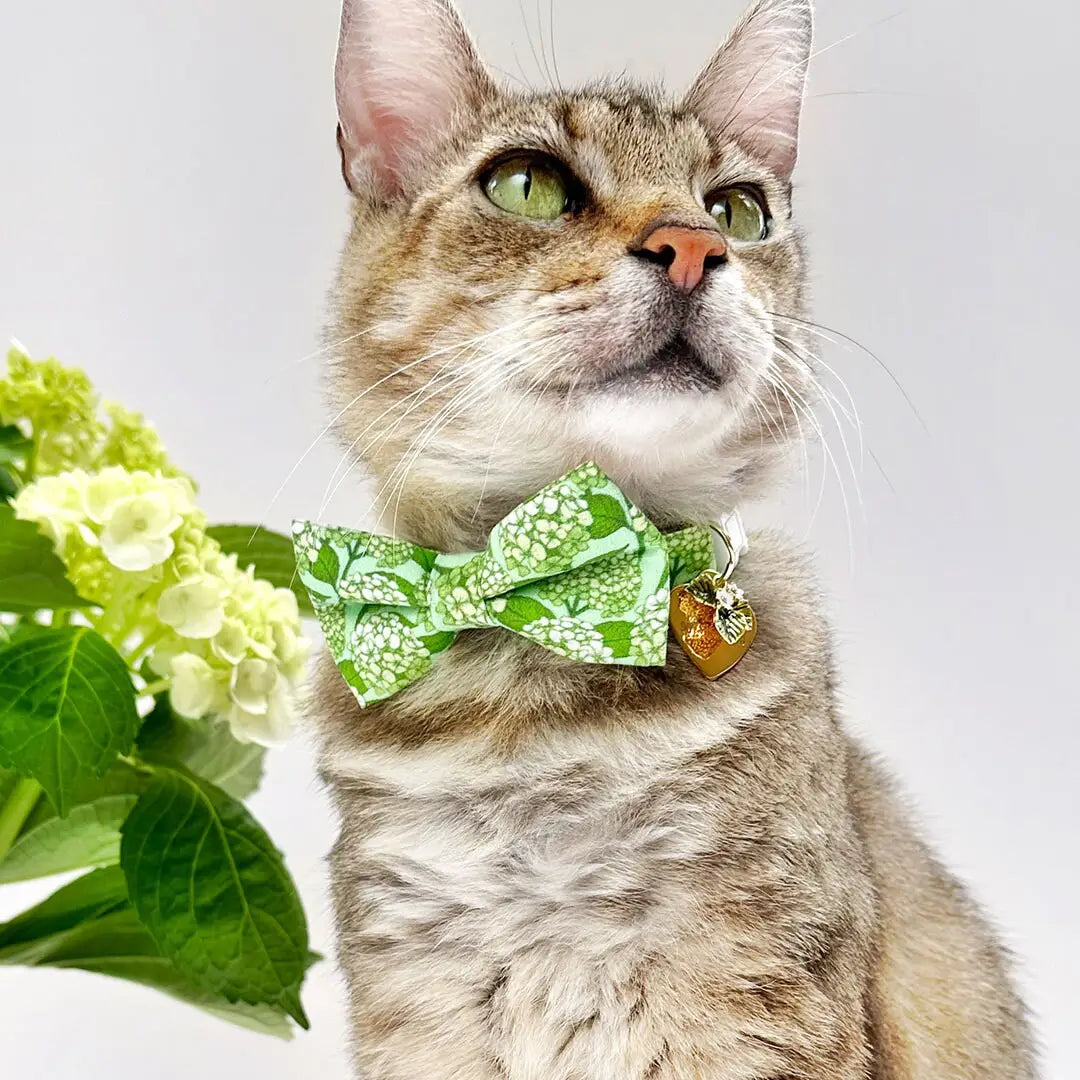 Hydrangea Hill Bow Tie For Cats & Small Dogs