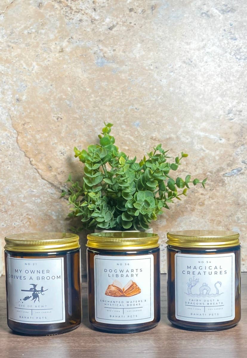 Dogwarts Library Soy Candle