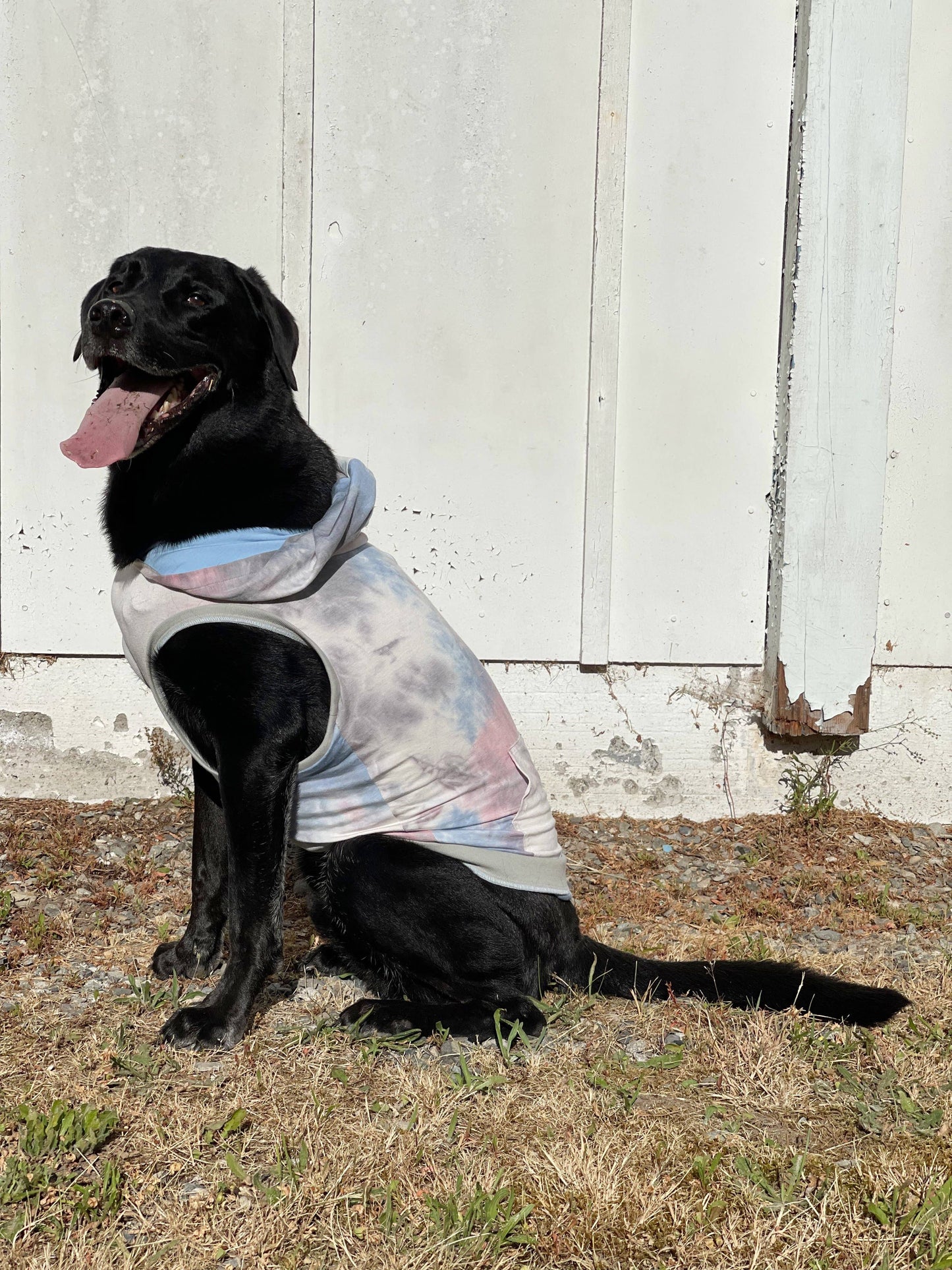 Tie Dye Dog Hoodie