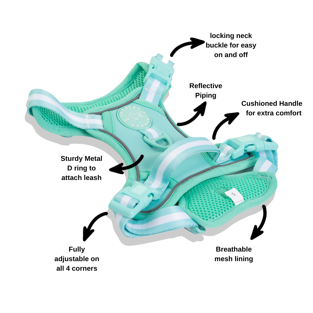 No Pull Comfort Dog Harness - Turquoise