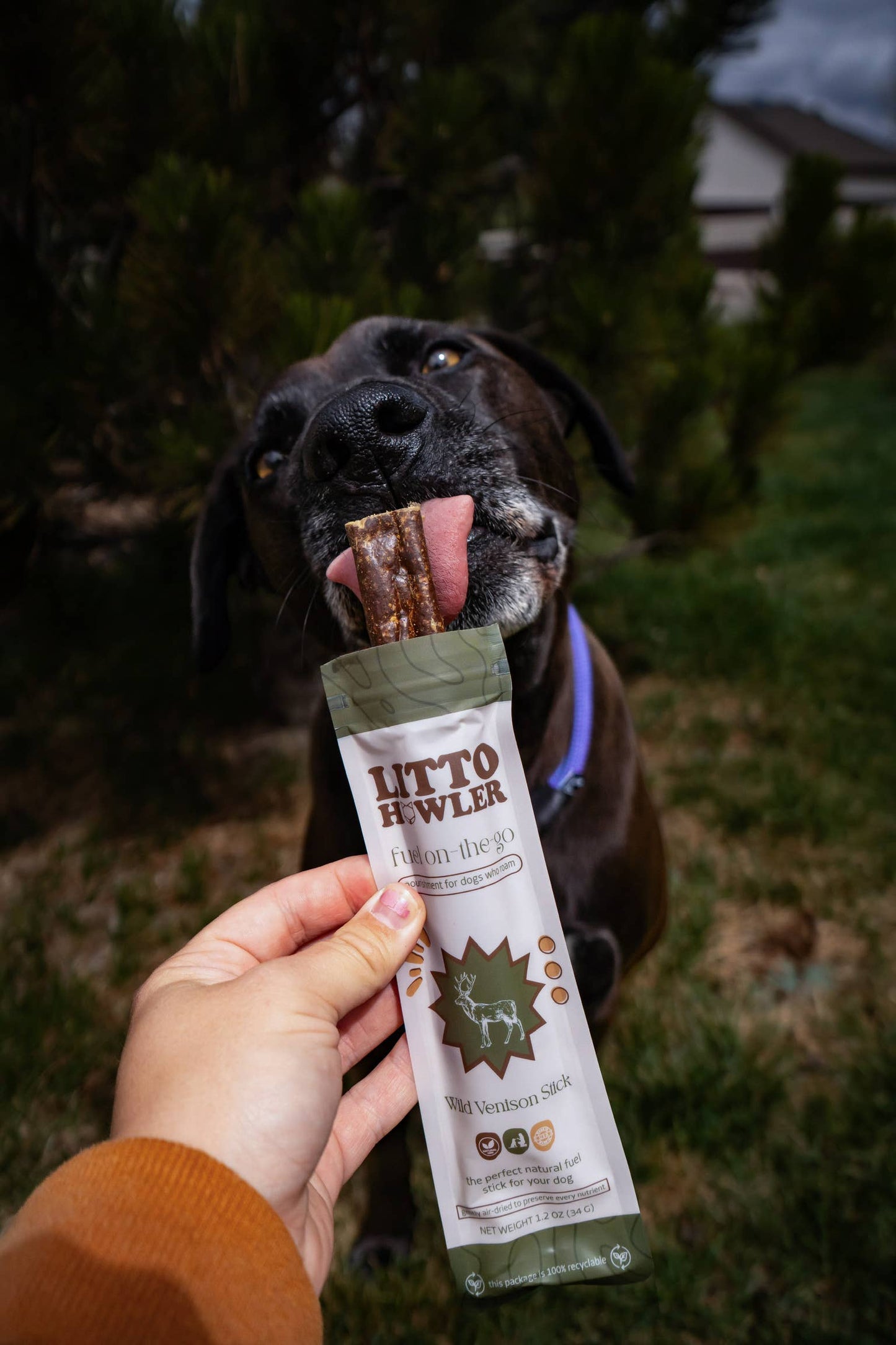 Wild Venison Stick