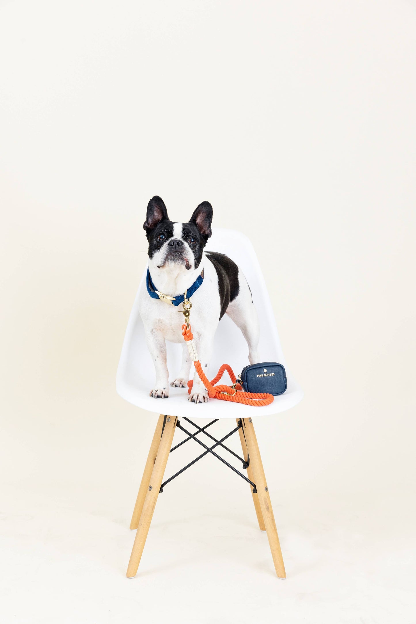 Dark Blue Dog Collar