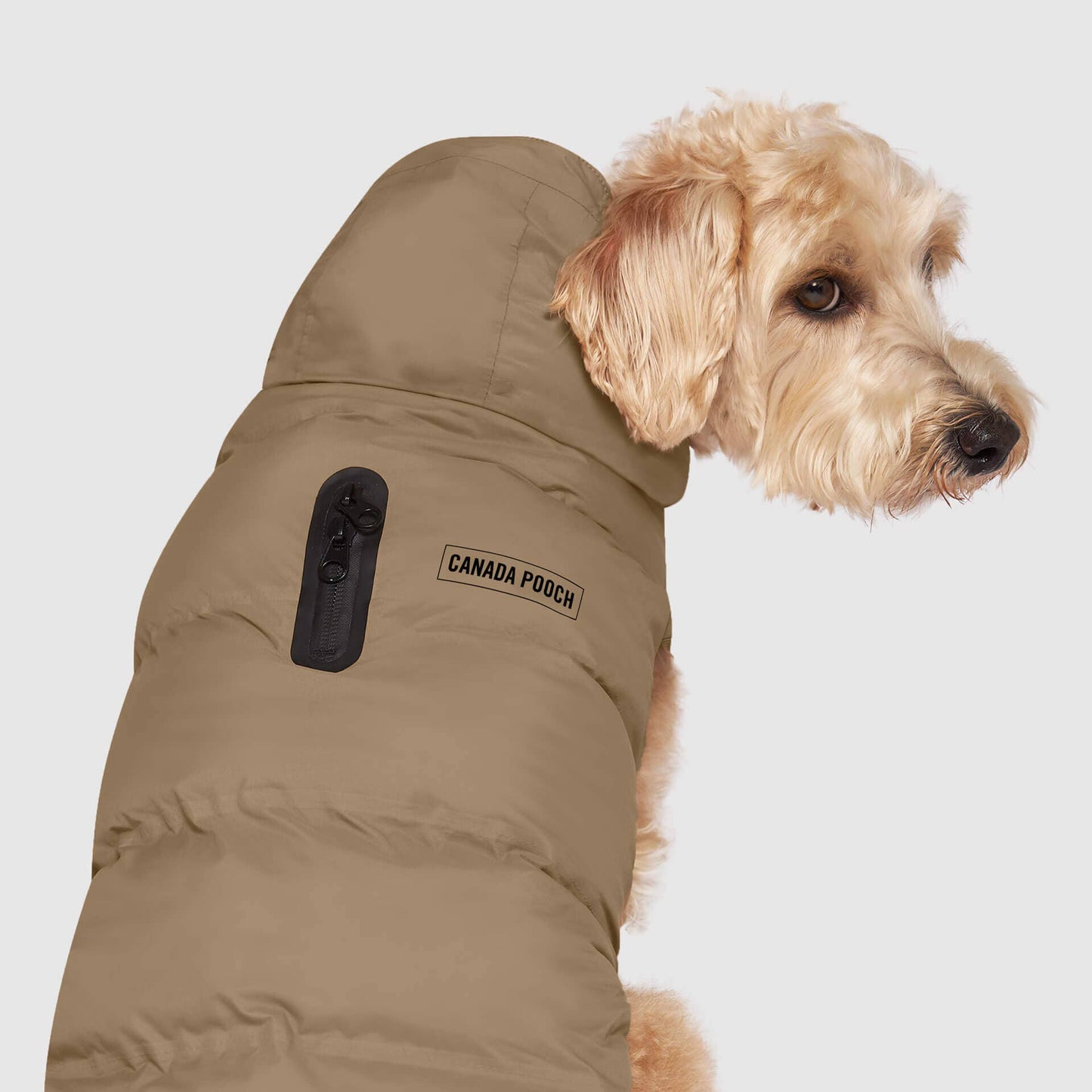 Waterproof Dog Puffer: Black / 18