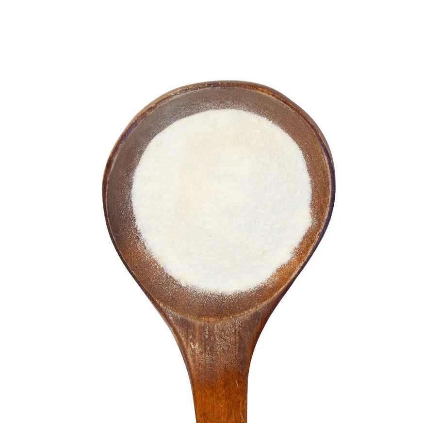 Healthy Gut - Digestive Enzymes & Probiotics