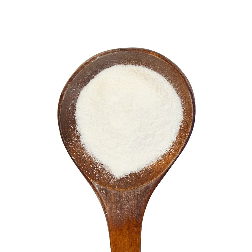 Love Bugs - Daily Probiotic