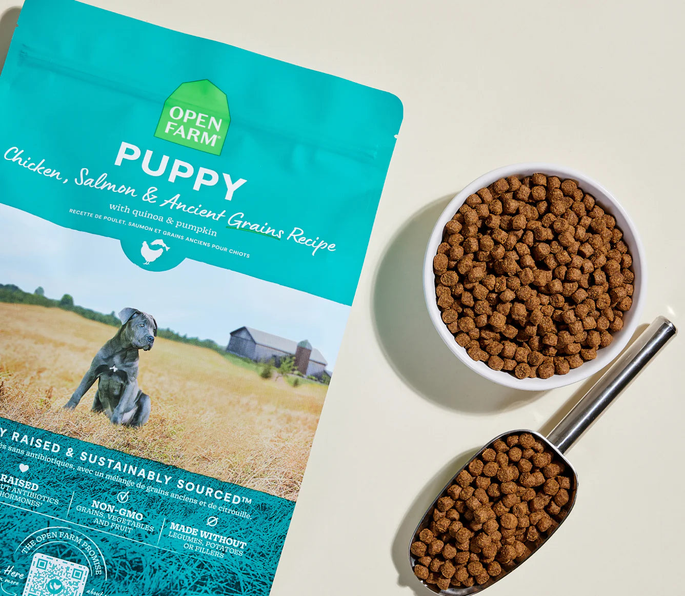 Puppy Chicken & Salmon Ancient Grain Food