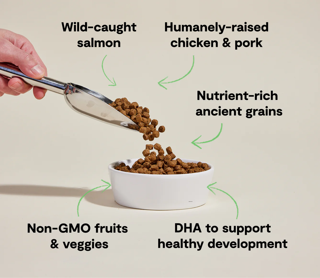 Puppy Chicken & Salmon Ancient Grain Food