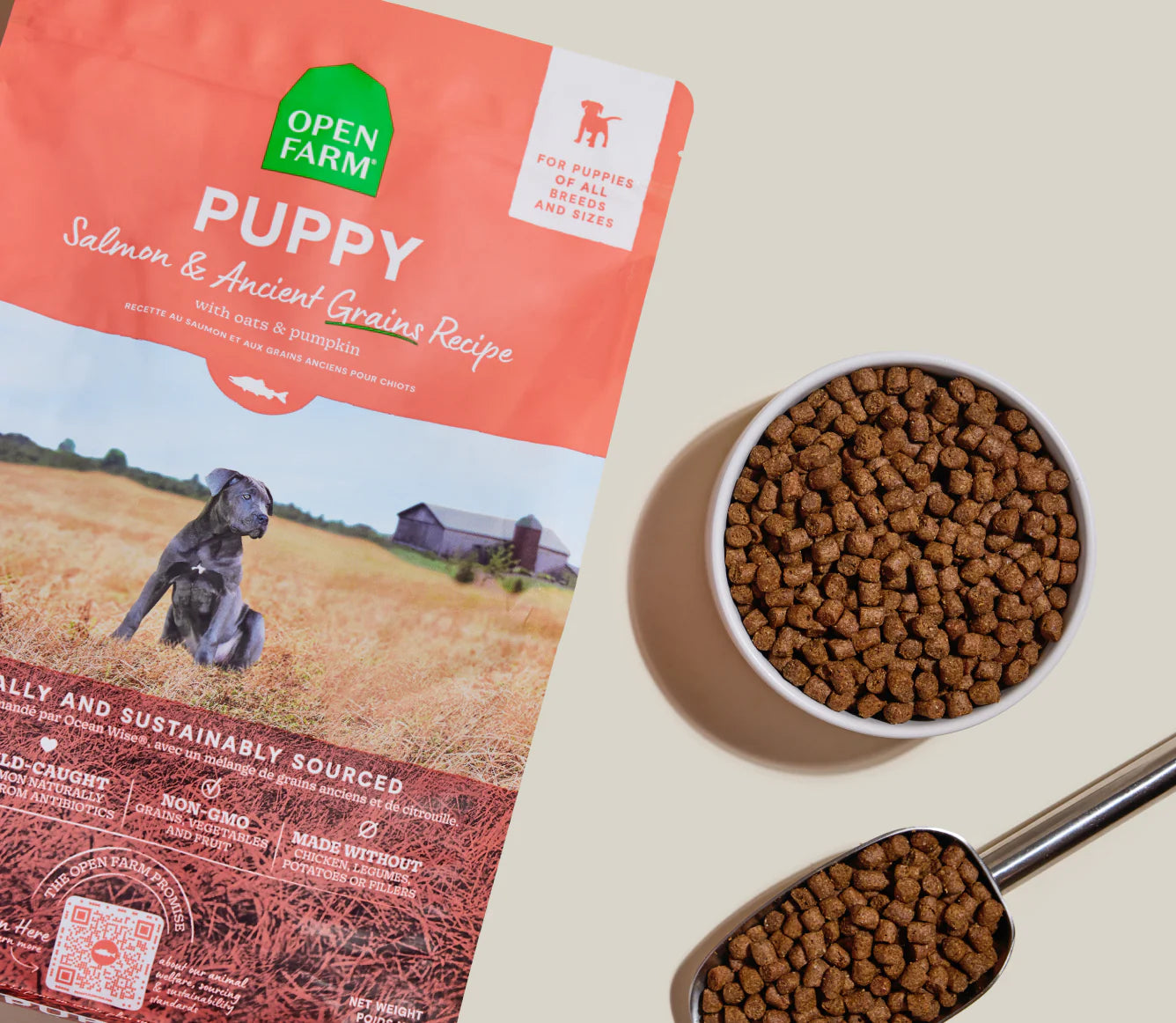 Puppy Salmon & Ancient Grains Dog Food