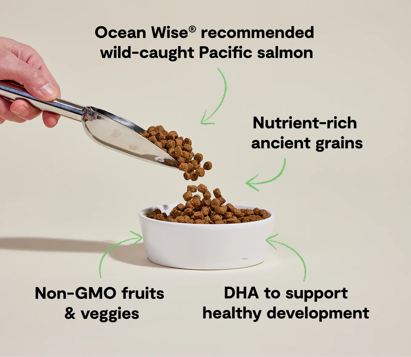 Puppy Salmon & Ancient Grains Dog Food
