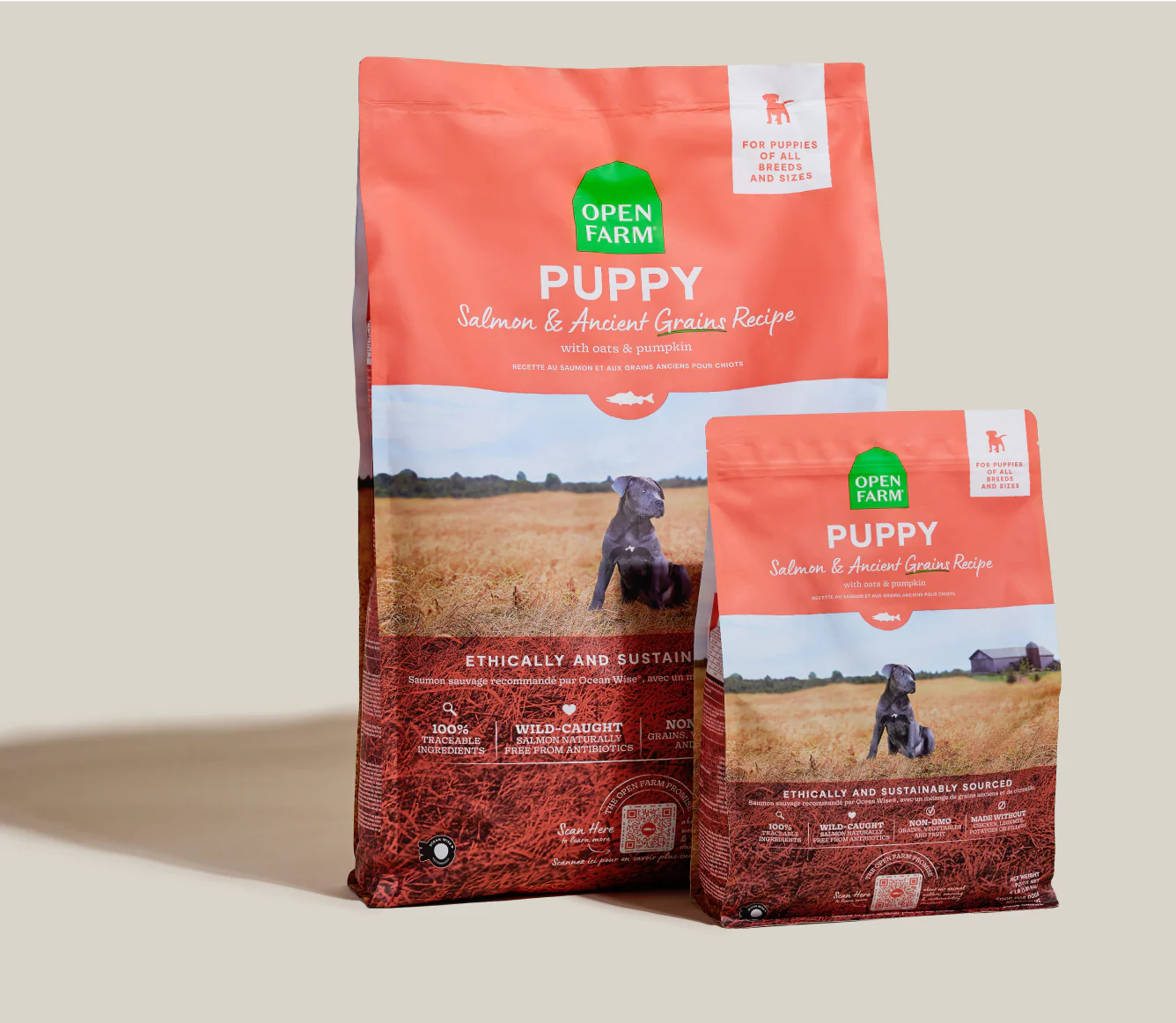 Puppy Salmon & Ancient Grains Dog Food