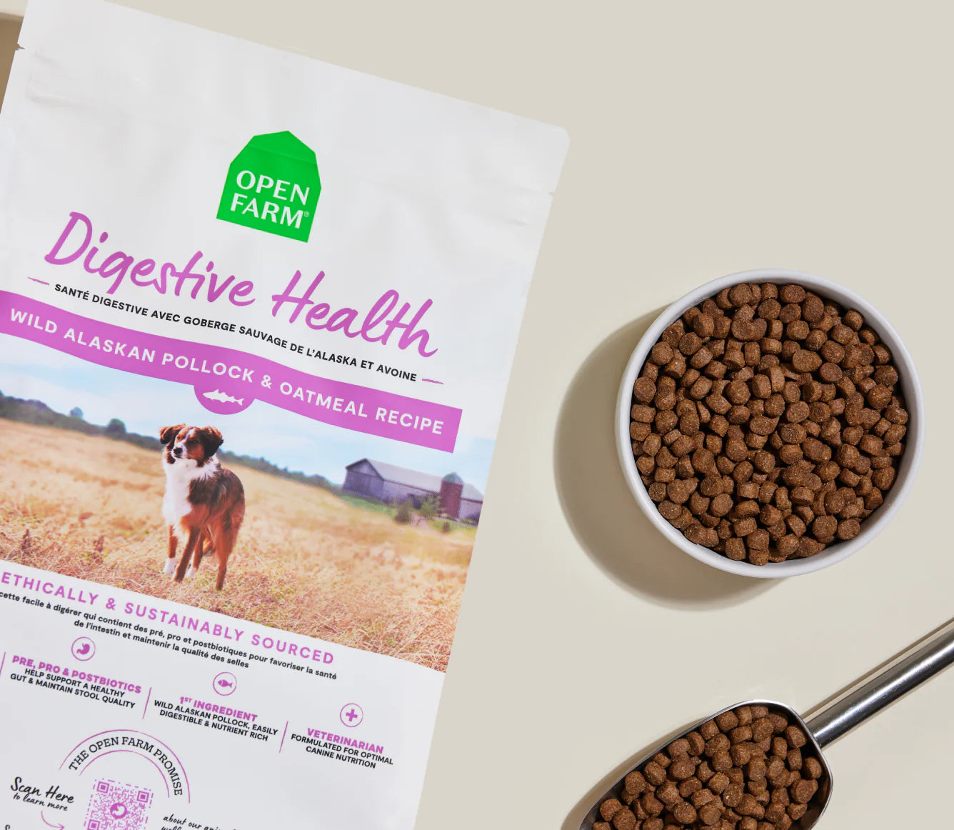Pollock & Oatmeal Digestive Health Dog Kibble 4lb