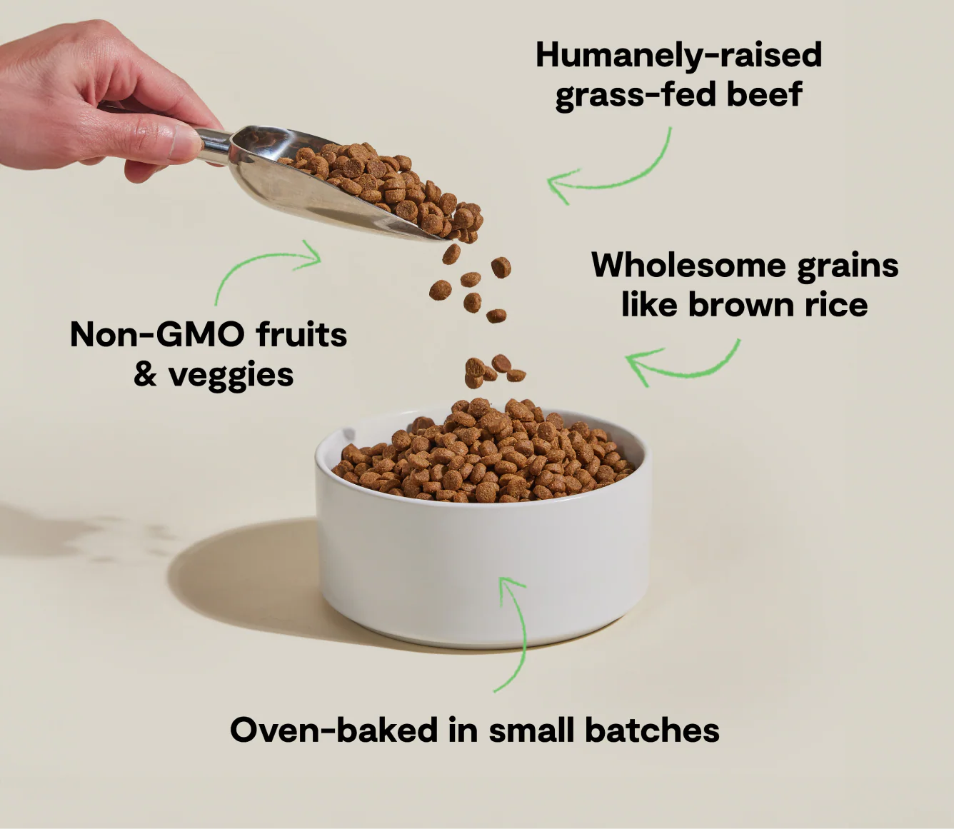 Open Farm GoodBowl Grass-Fed Beef and Brown Rice Dry Dog Food 22 lb