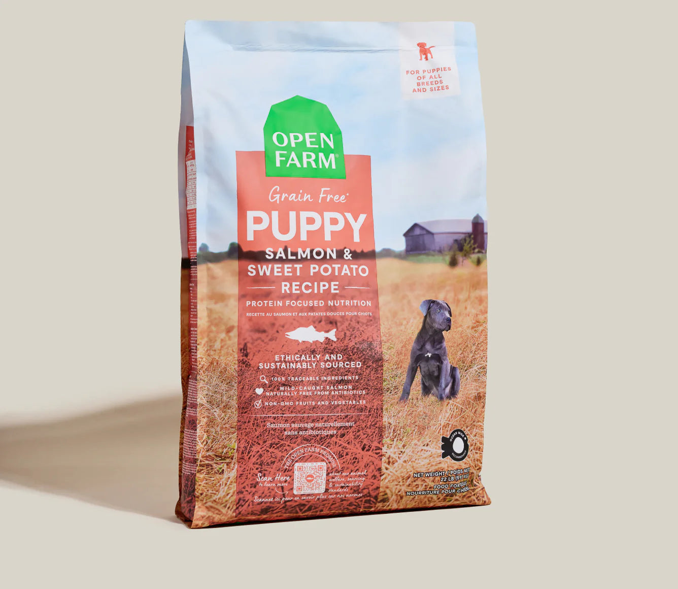 Puppy Salmon & Sweet Potato Grain Free Food 4 lb