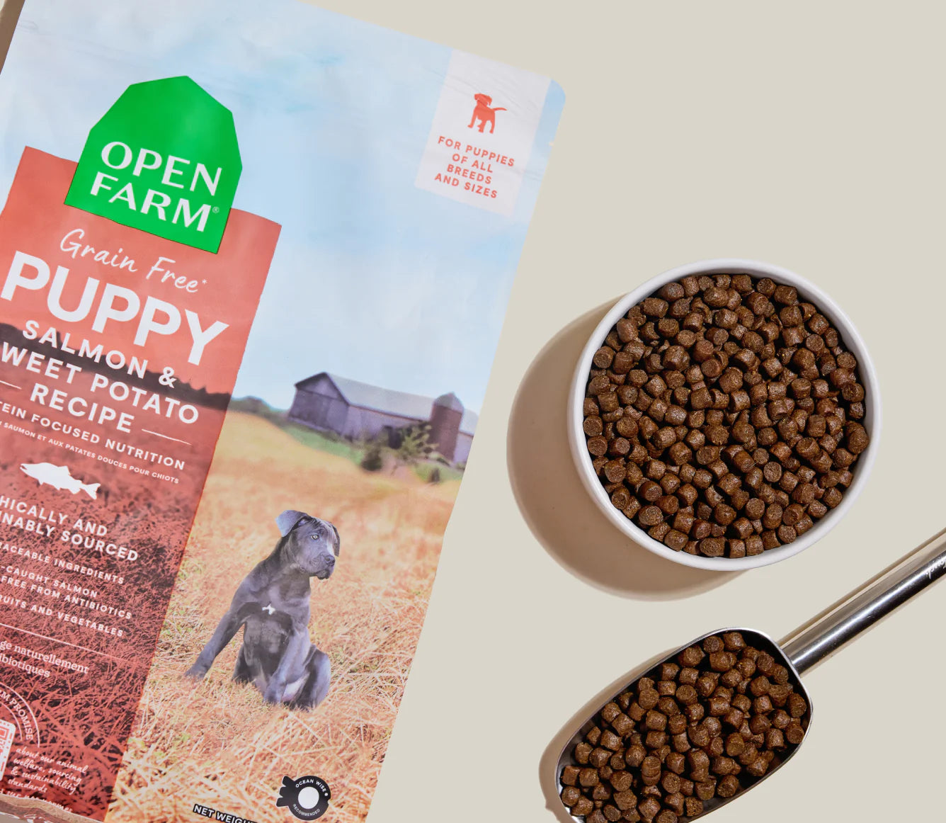 Puppy Salmon & Sweet Potato Grain Free Food 4 lb