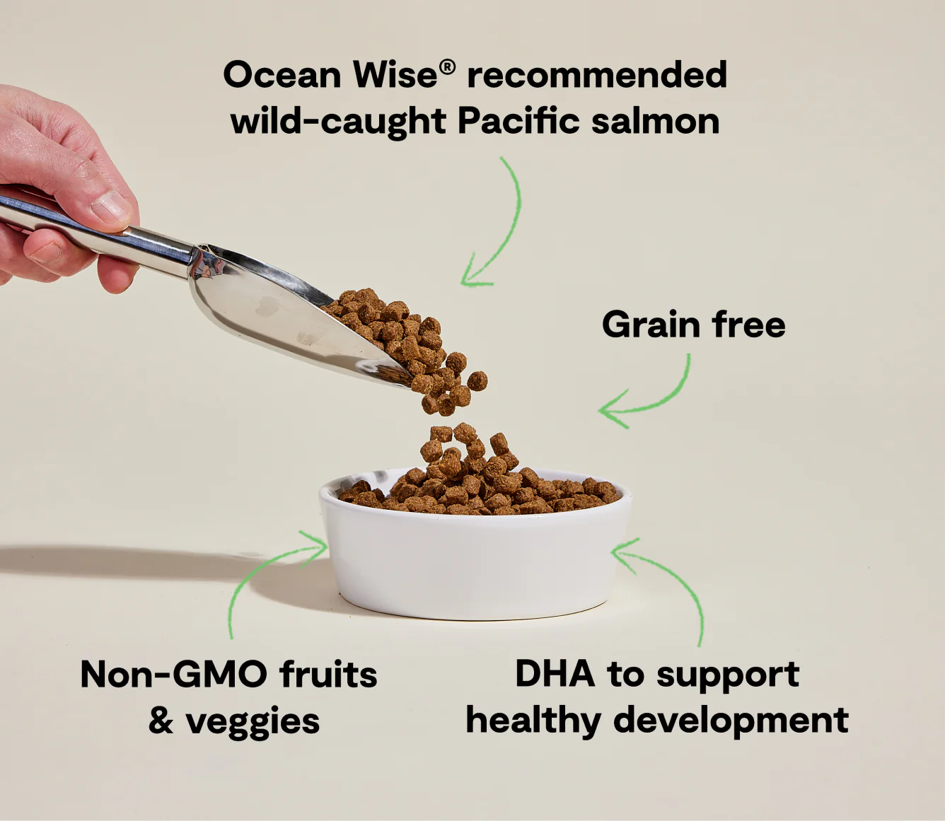 Puppy Salmon & Sweet Potato Grain Free Food 4 lb