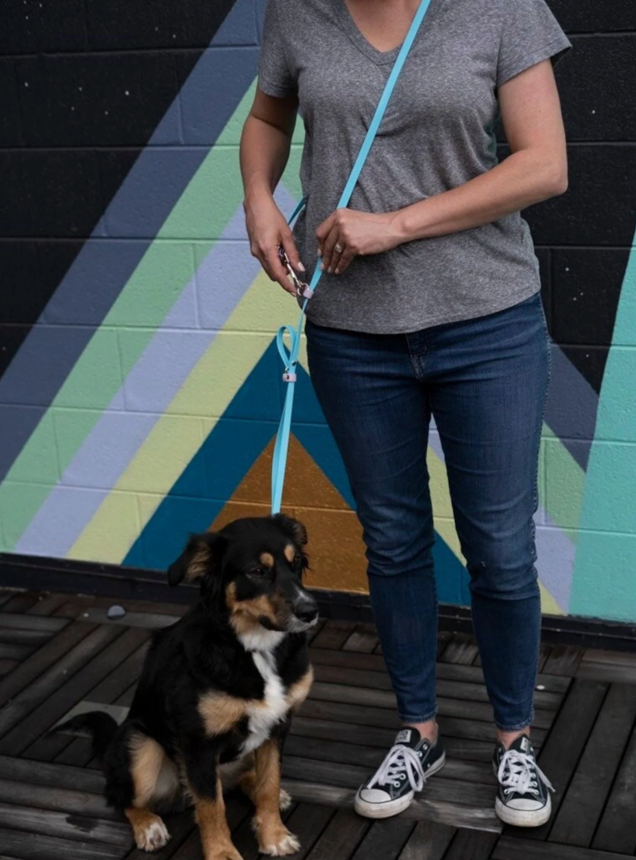 Fawn and Merle Hands-free Leash 7 ft