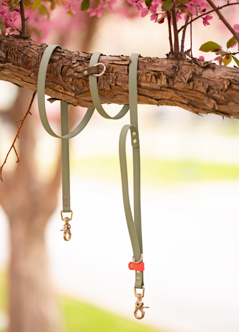 Fawn and Merle Hands-free Leash 7 ft