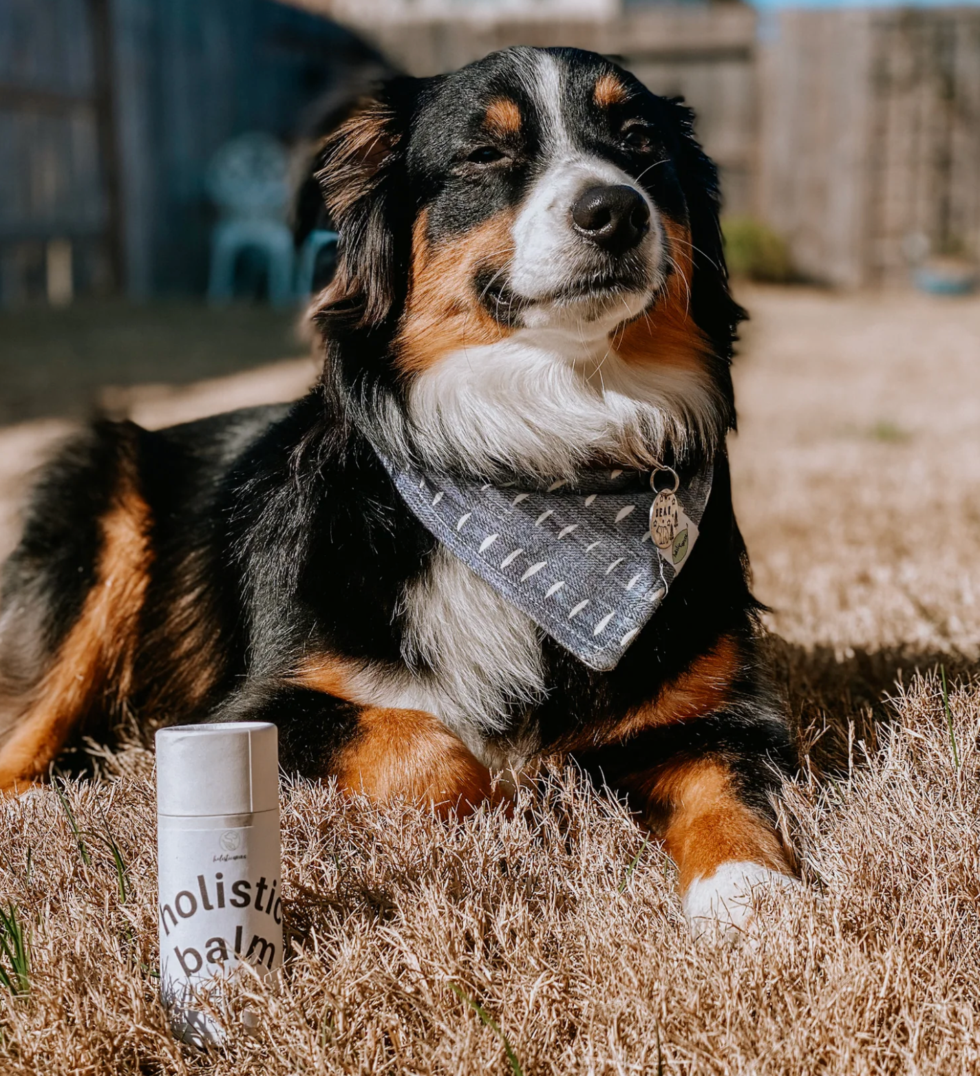 Holistic Balm - Organic & all-purpose balm for paws + skin