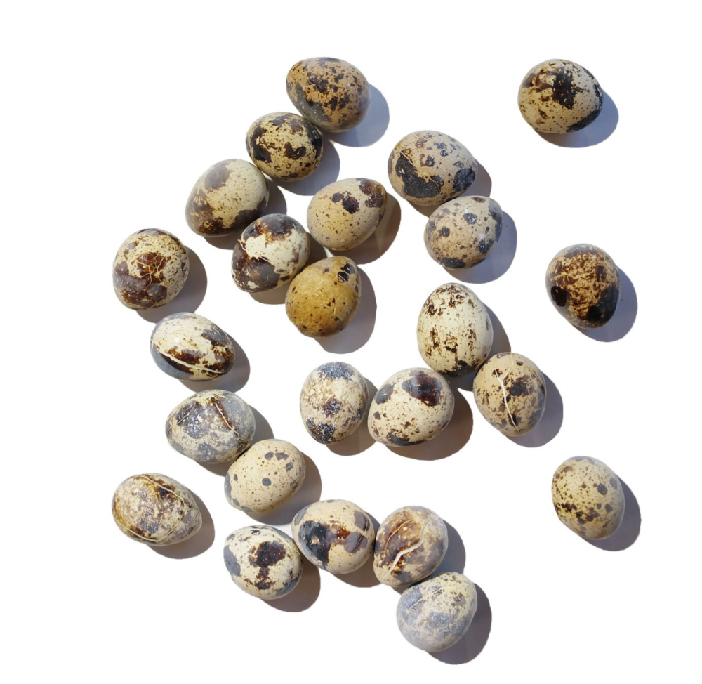 Raw Quail Eggs