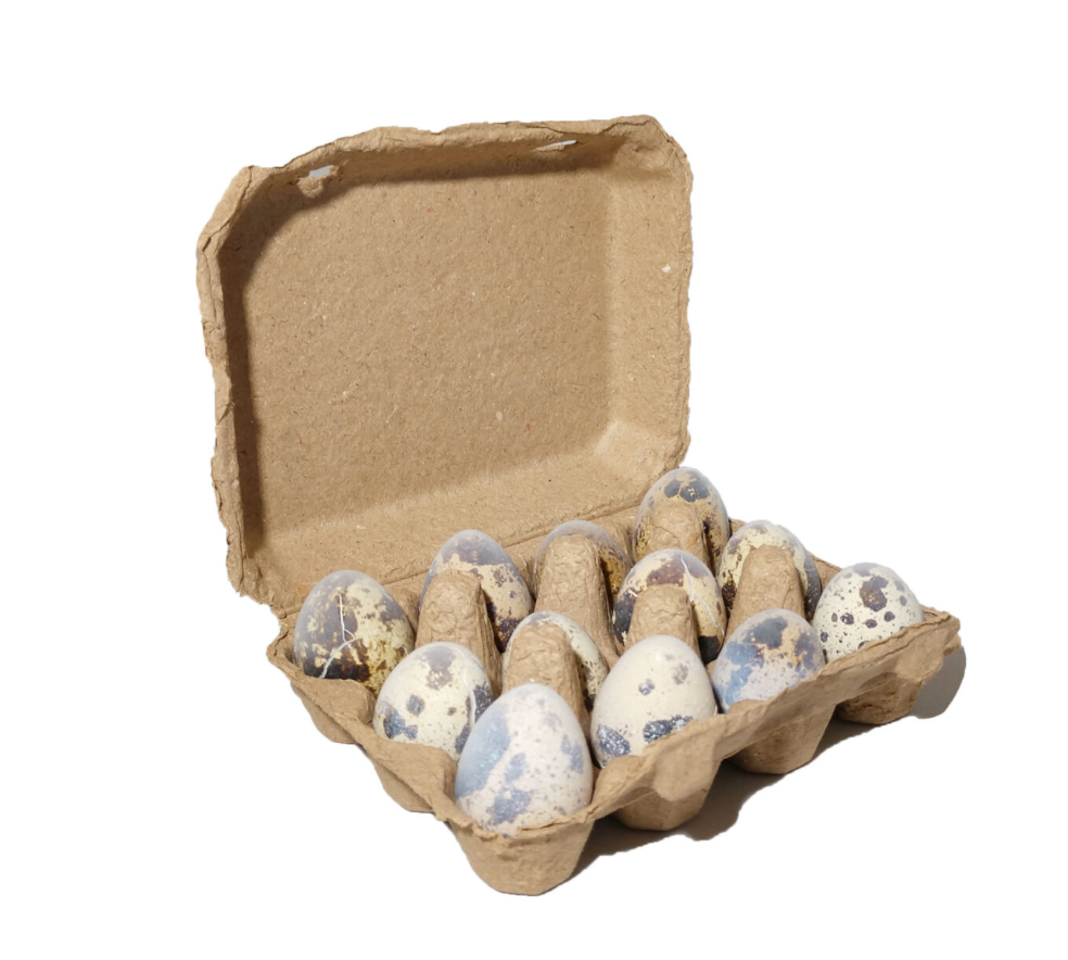 Raw Quail Eggs