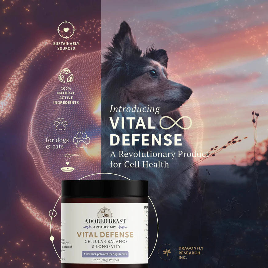 Vital Defense - Immune Boost