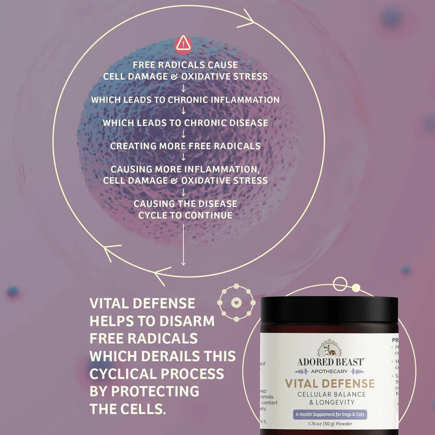 Vital Defense - Immune Boost