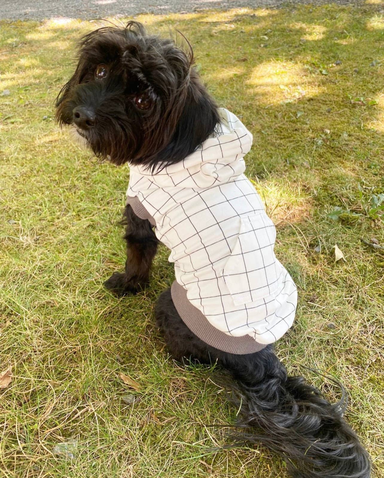 Grid Dog Hoodie