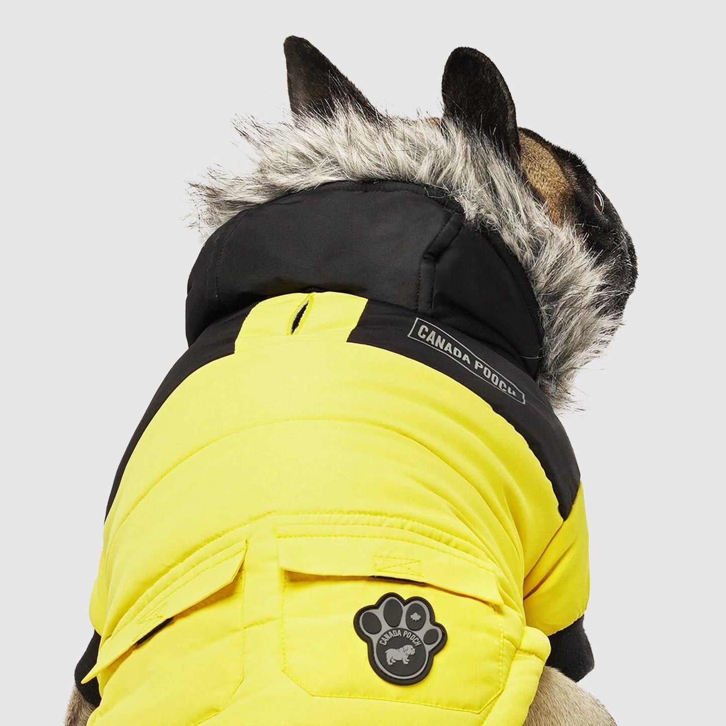 True North Dog Parka: Red / 26