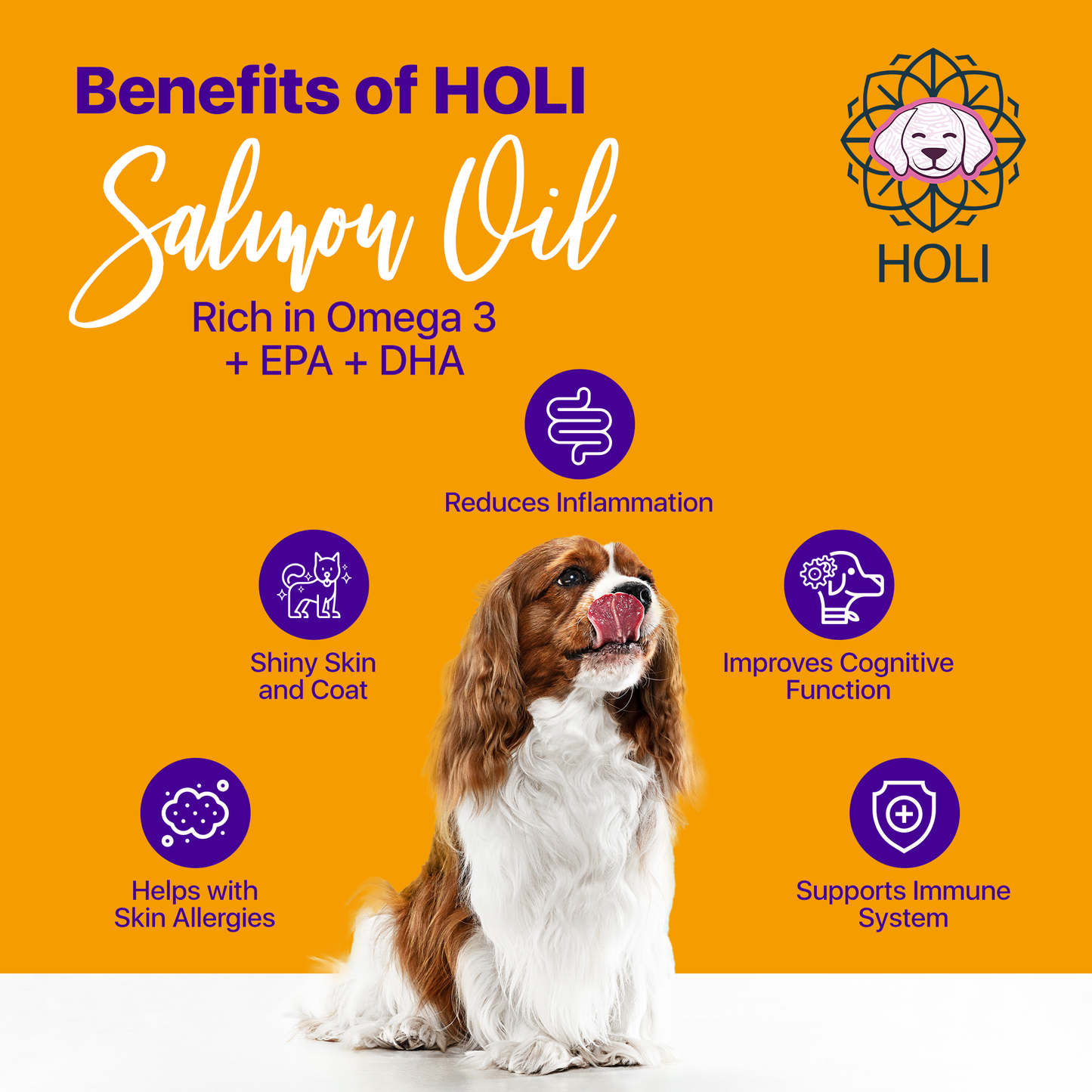 Icelandic Salmon Oil: 16 oz