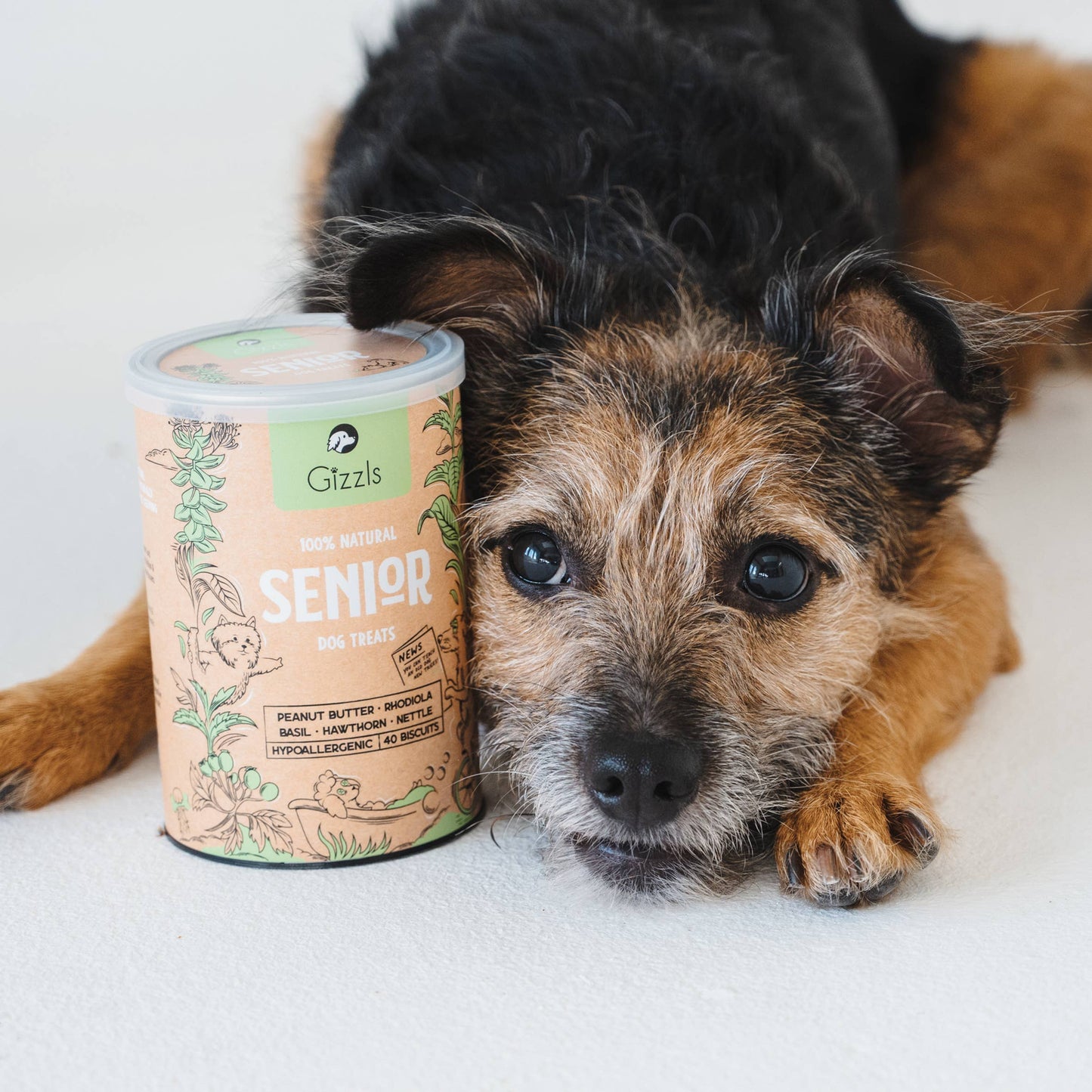 Gizzls 100% Natural Dog Treats for Seniors