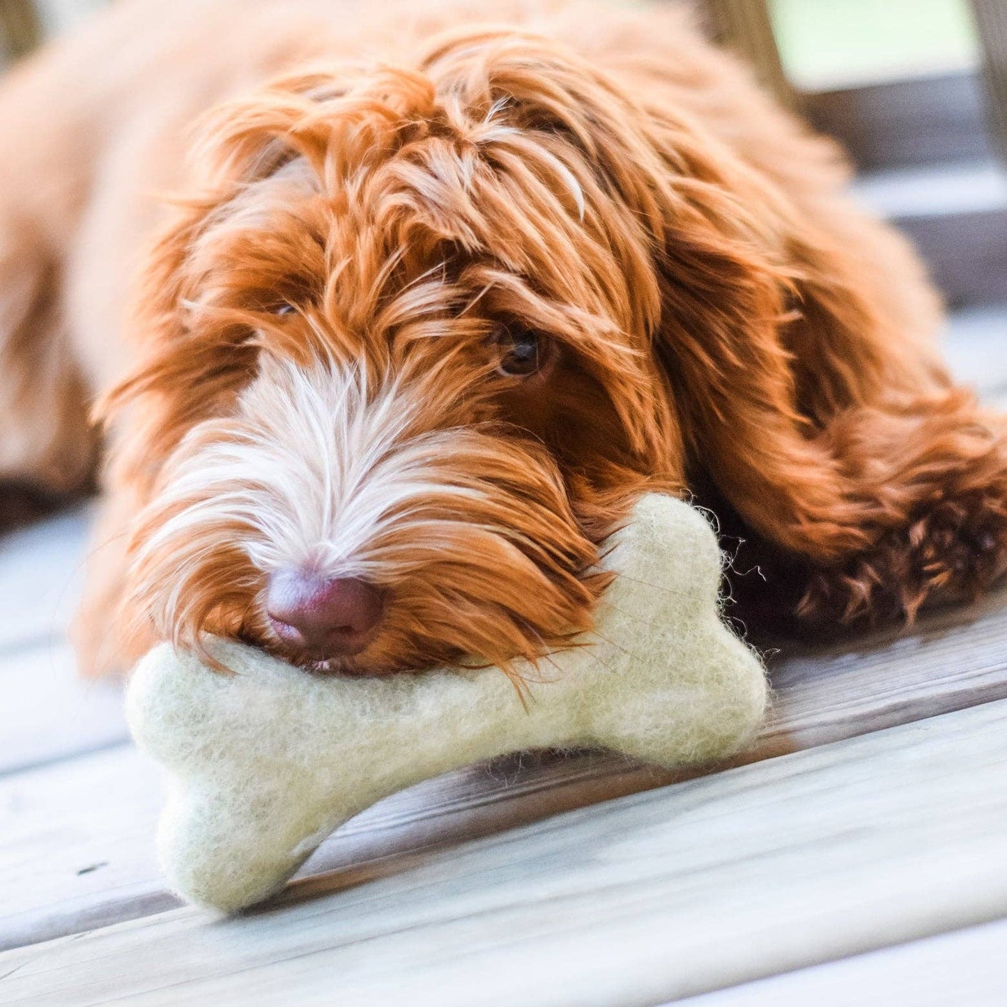 Bone Felt Toy: OMBRE