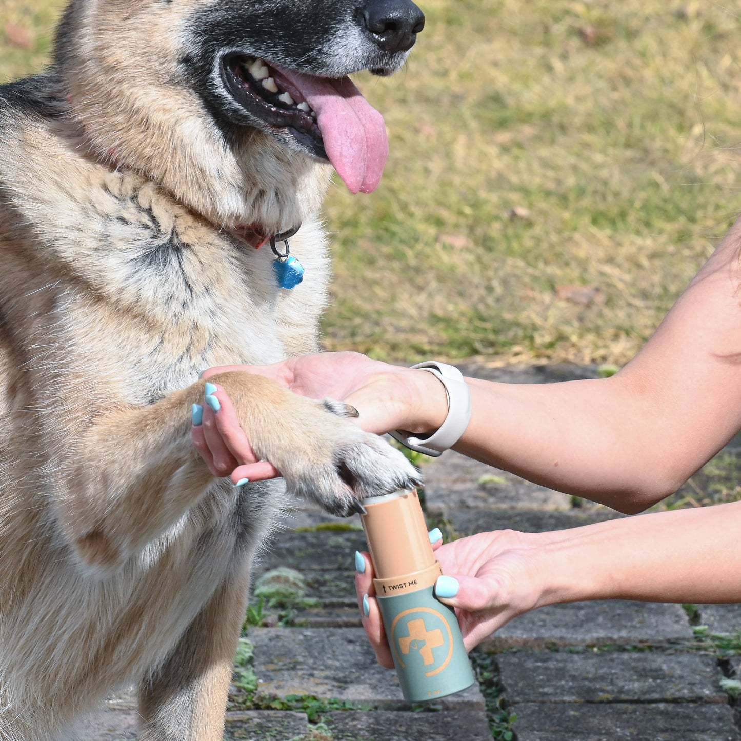 Dog Paw Protection - Trail Wax 2oz